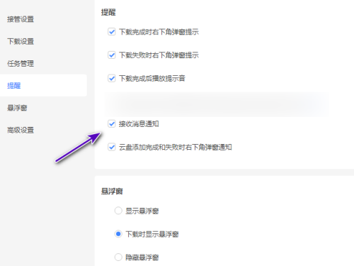 迅雷11怎么不接收消息通知?迅雷11不接收消息通知教程  第4张